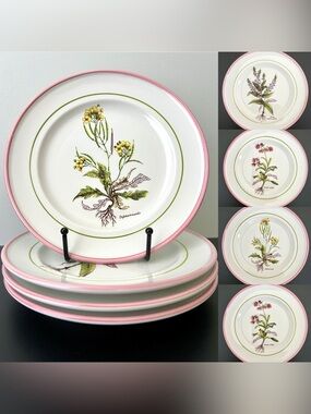Vintage Botanical Plates 8" Italy La Primula Hand-Painted Salad Plate Pink Rim